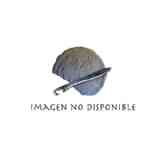 Click para ampliar. Piedra Escrita 09 - La inscripción